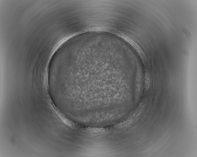 X0000111870886200908131609