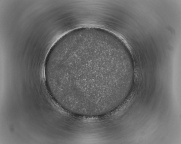 X0000111870887200908131609