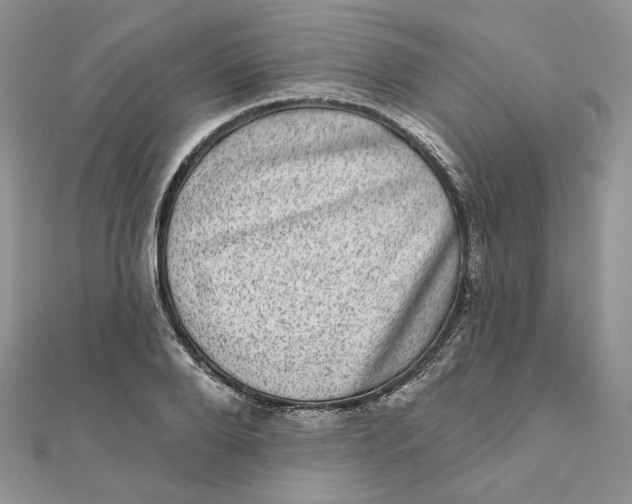 X0000111870888200908131609