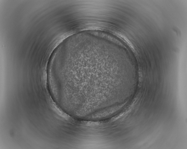 X0000111870890200908131609