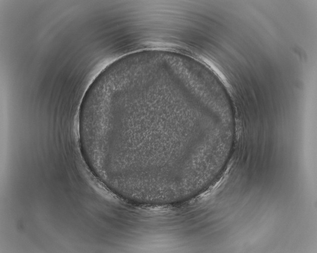 X0000111870891200908131609