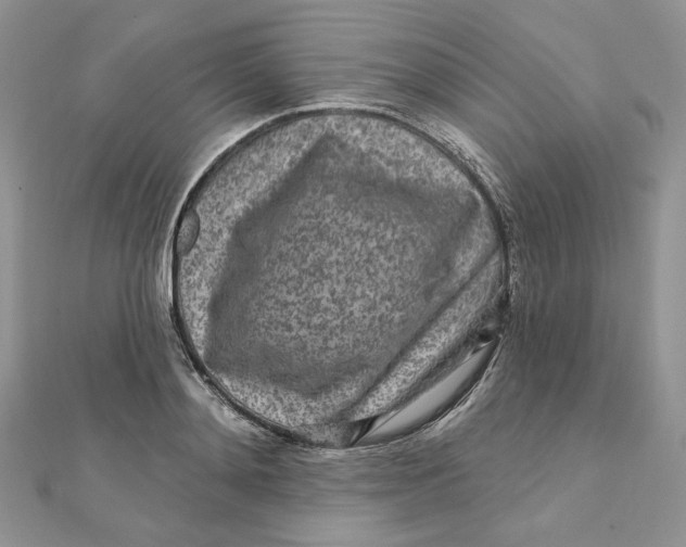 X0000111870892200908131609