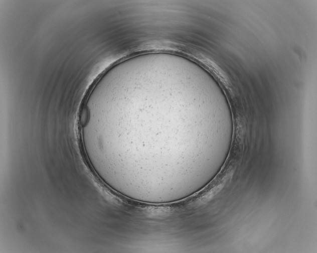 X0000111870893200908131609