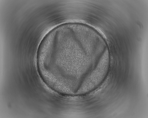 X0000111870895200908131609