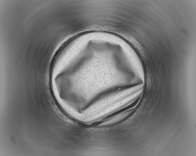 X0000111870896200908131609