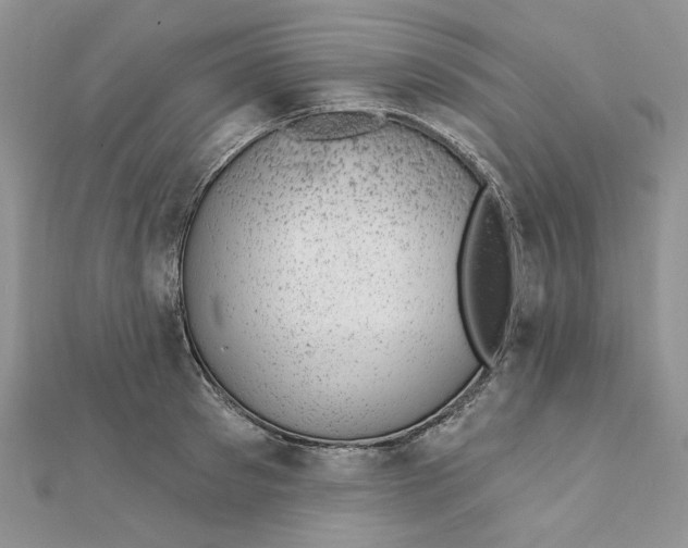 X0000111870897200908131609