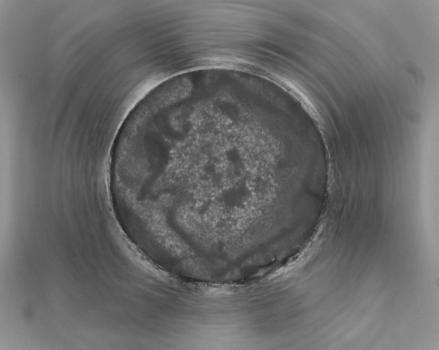 X0000111870899200908131609