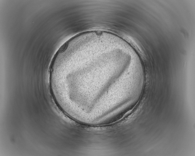 X0000111870900200908131609