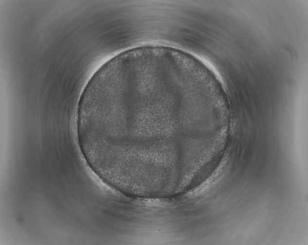 X0000111870903200908131609