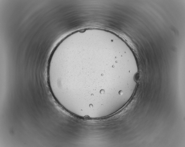 X0000111870904200908131609