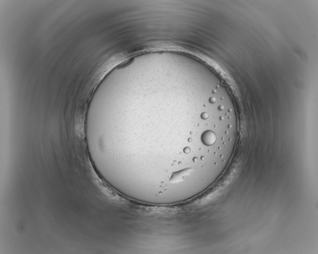 X0000111870905200908131609