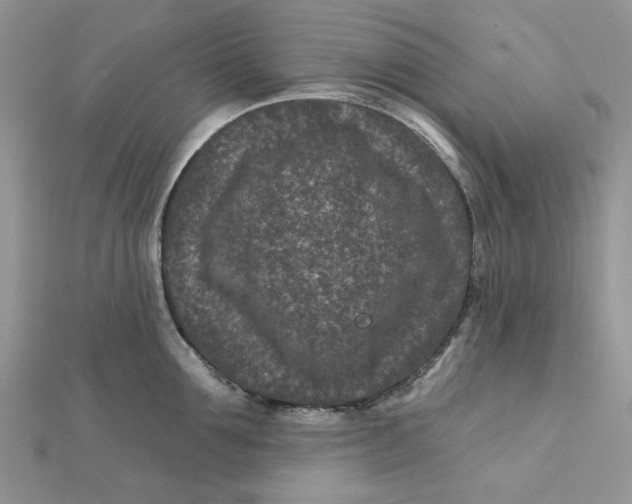 X0000111870907200908131609