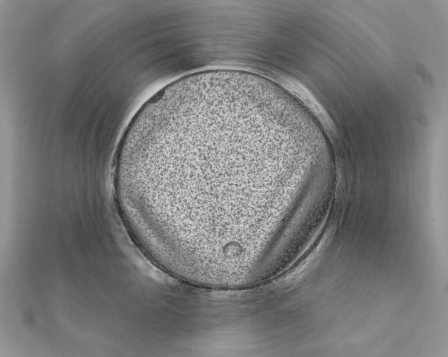 X0000111870908200908131609