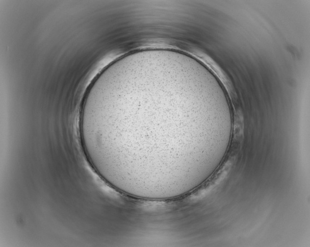 X0000111870909200908131609