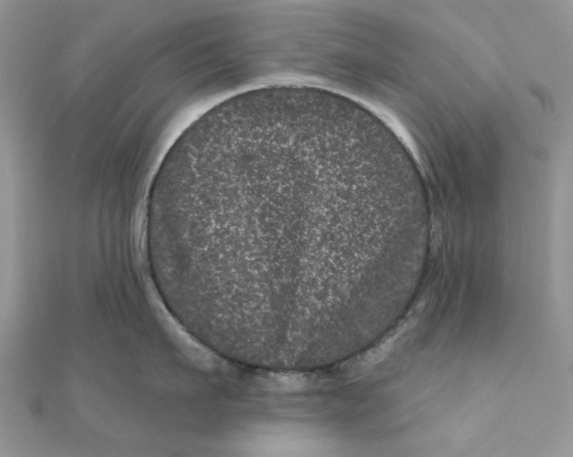 X0000111870911200908131609