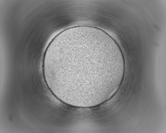 X0000111870912200908131609