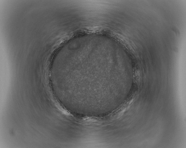 X0000111870913200908131608