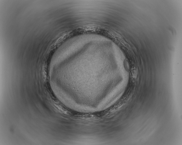 X0000111870916200908131608