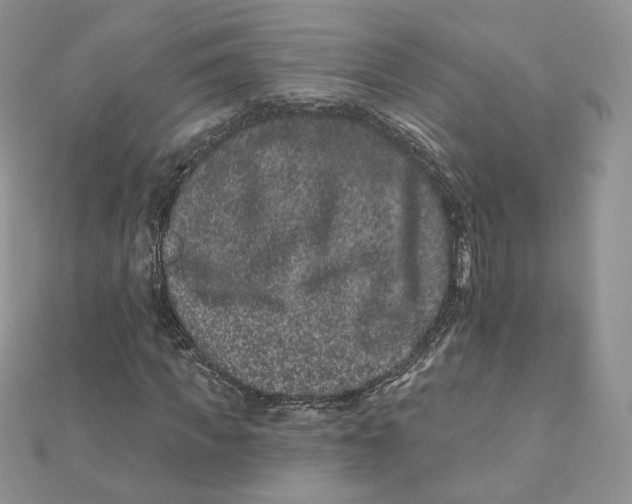 X0000111870917200908131608