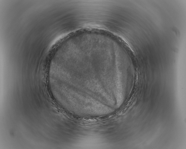 X0000111870919200908131608