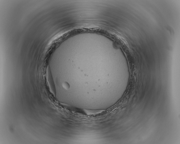 X0000111870920200908131608