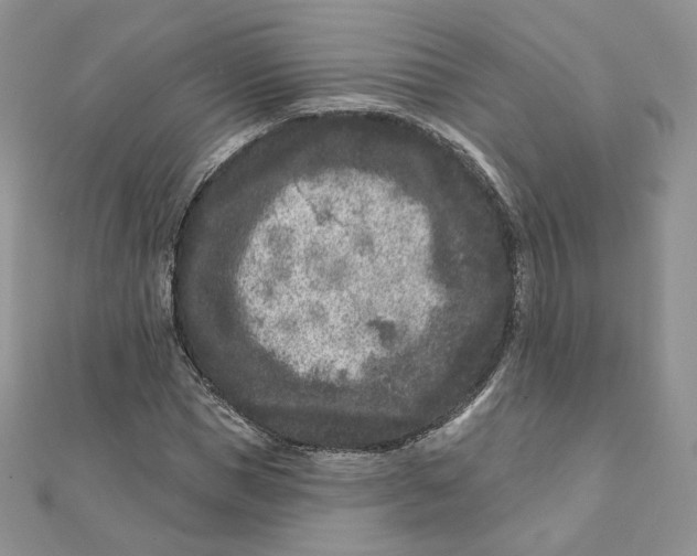 X0000111870921200908131608