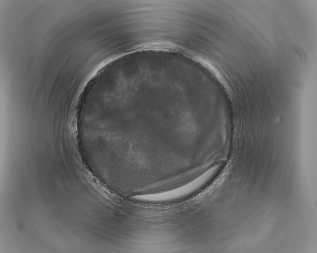 X0000111870923200908131608