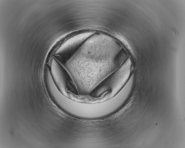 X0000111870924200908131608