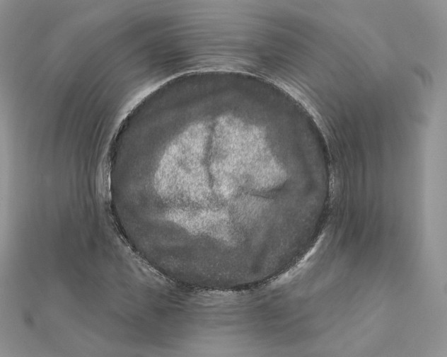 X0000111870925200908131608