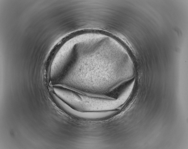 X0000111870926200908131608