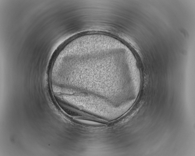 X0000111870928200908131608