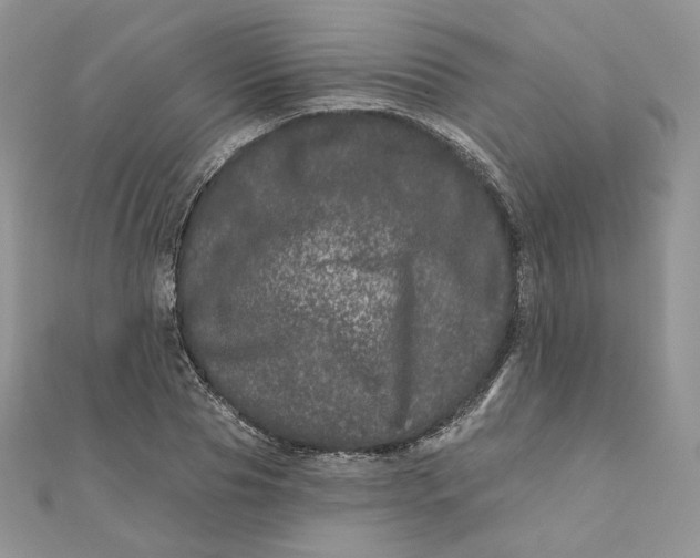 X0000111870929200908131609