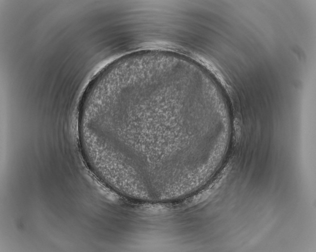 X0000111870931200908131609