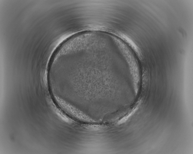 X0000111870932200908131609