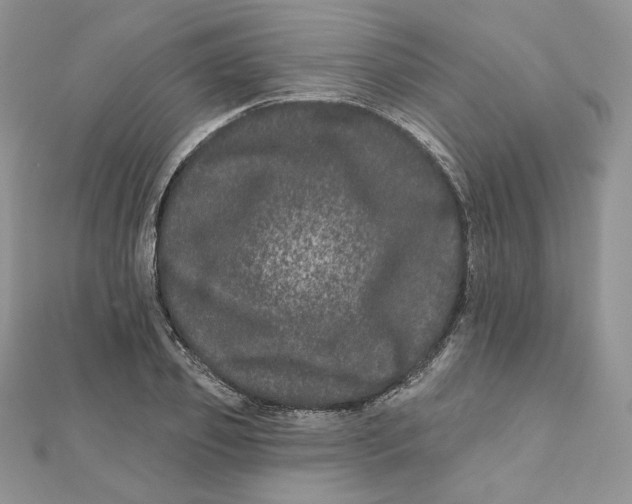 X0000111870933200908131609