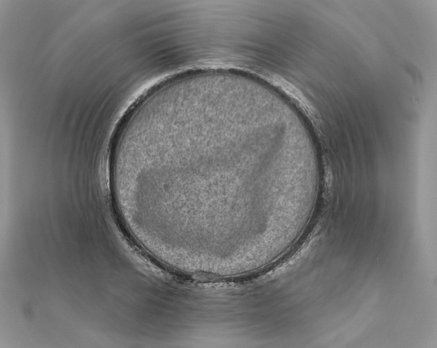 X0000111870934200908131609