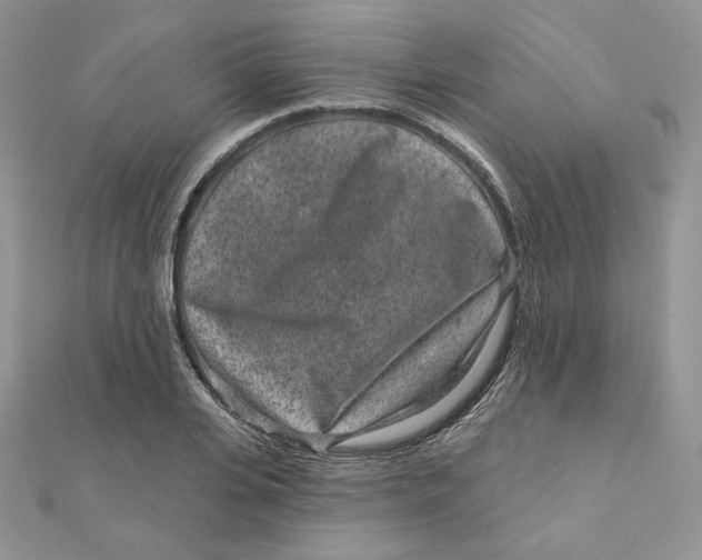 X0000111870935200908131609