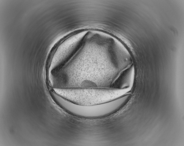 X0000111870936200908131609