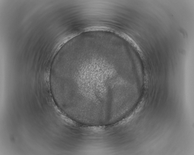 X0000111870937200908131609