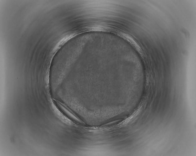 X0000111870938200908131609