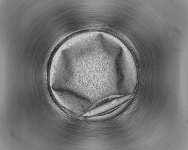 X0000111870939200908131609