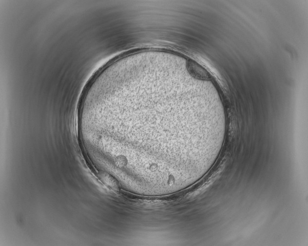 X0000111870940200908131609