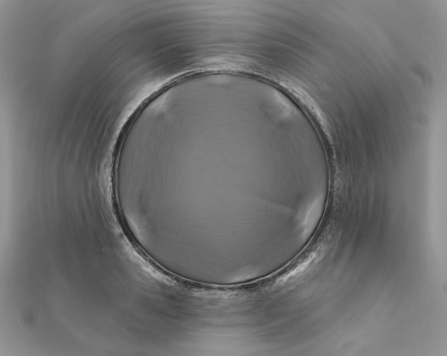 X0000111870941200908131609