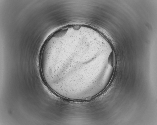 X0000111870942200908131609