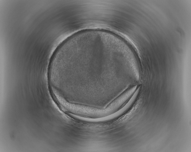 X0000111870943200908131609