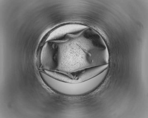 X0000111870944200908131609