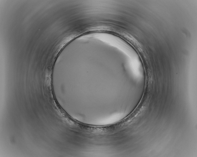 X0000111870945200908131609