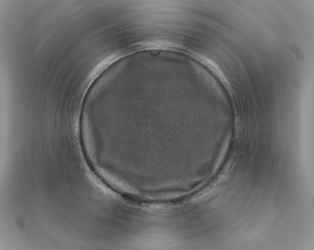 X0000111870946200908131609