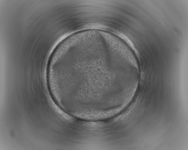 X0000111870947200908131609