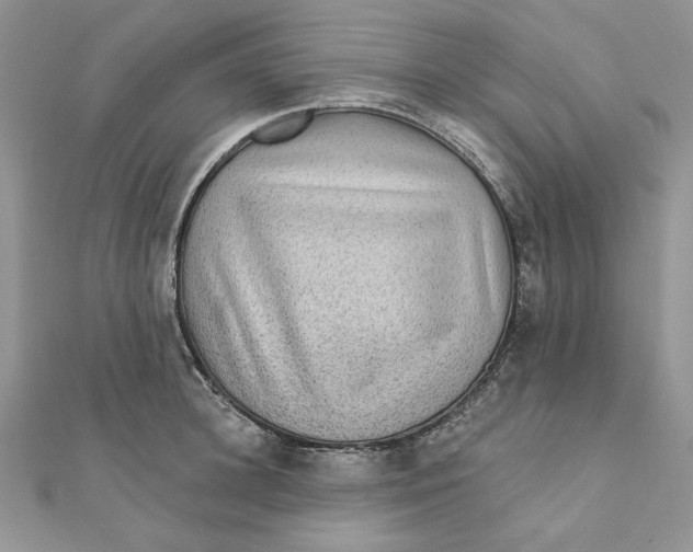 X0000111870948200908131609